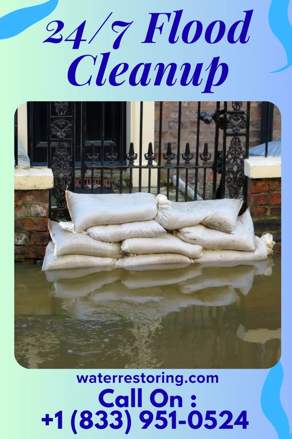 24/7 Flood Cleanup in East Hazel Crest, IL