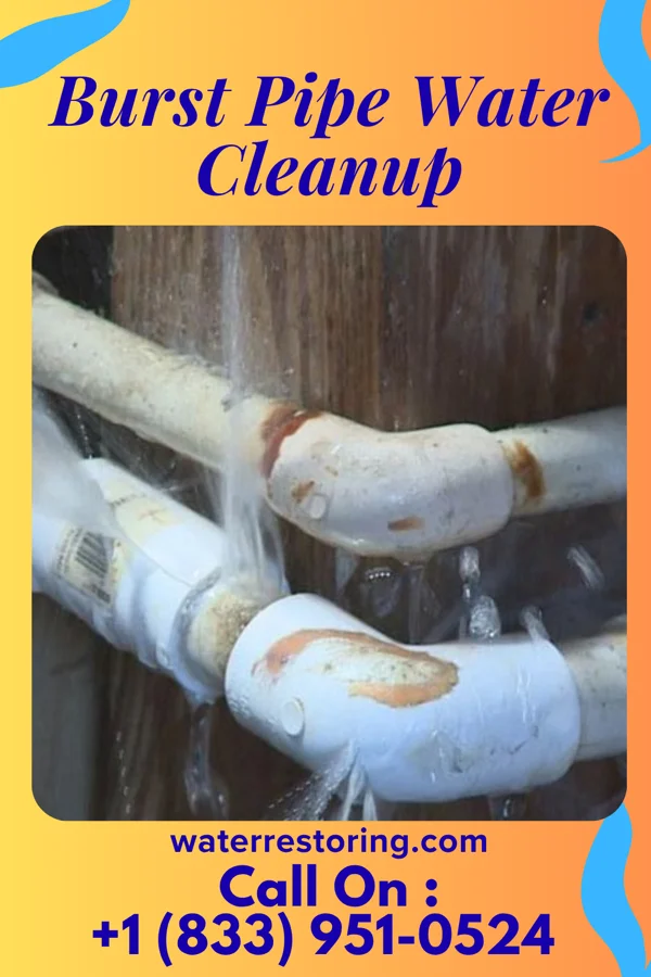 Burst Pipe Water Cleanup in East Hazel Crest, IL