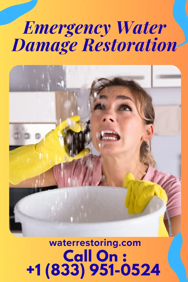 Emergency Water Damage Restoration in East Hazel Crest, IL