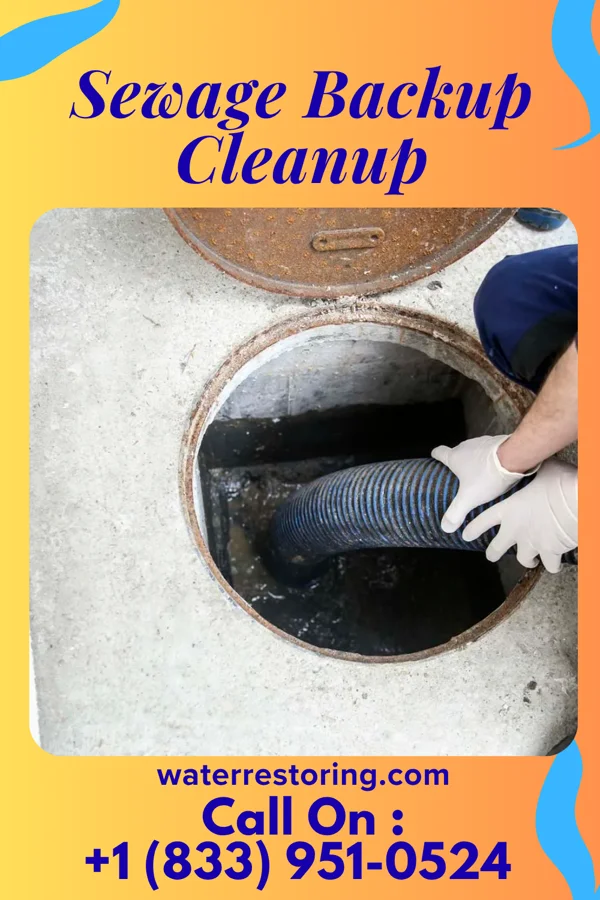 Sewage Backup Cleanup in East Hazel Crest, IL